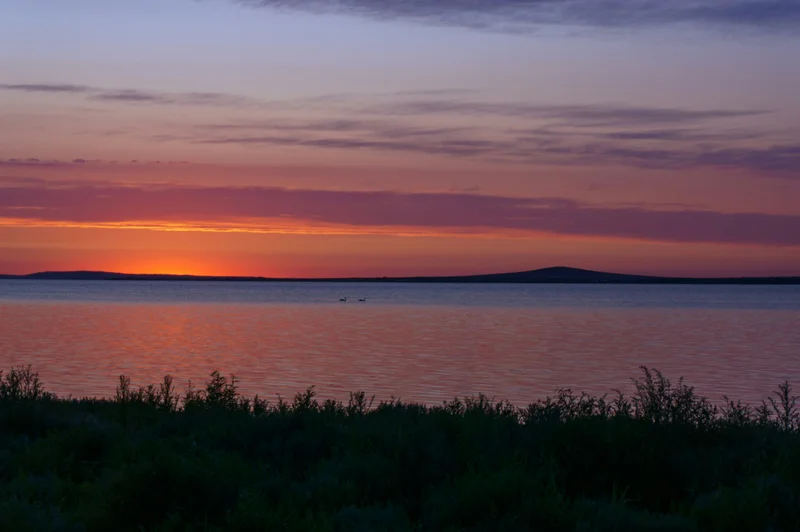 Vaaleanpunainen tausta tummalla otsikolla