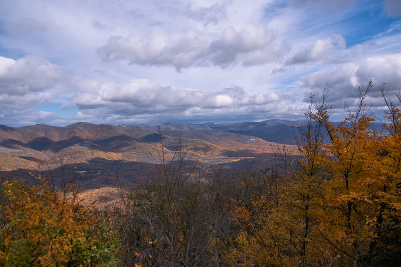 Pinkin ja luumun sävyinen kuviointi ja teksti